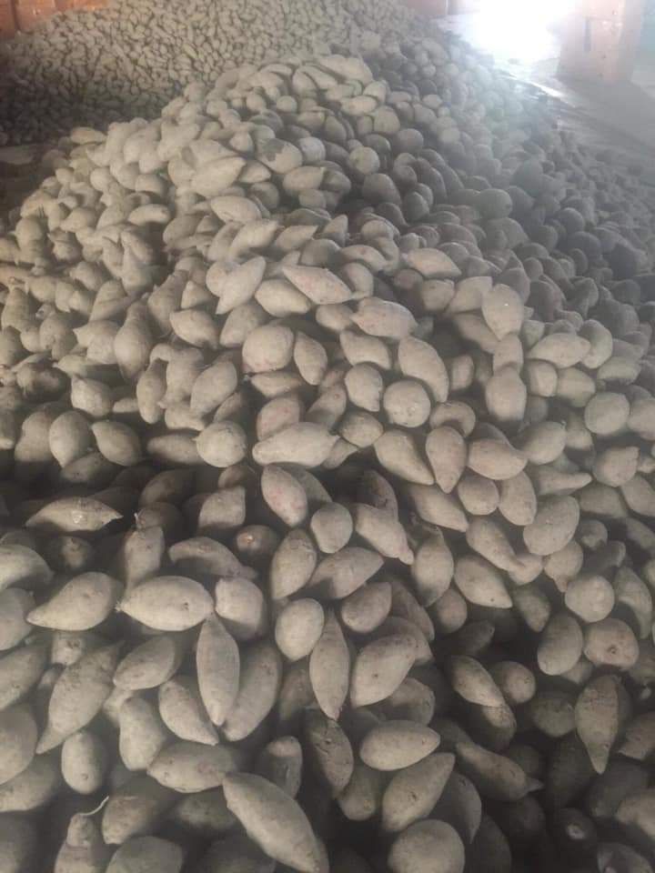 khoai lang tím Vĩnh Long (1kg)