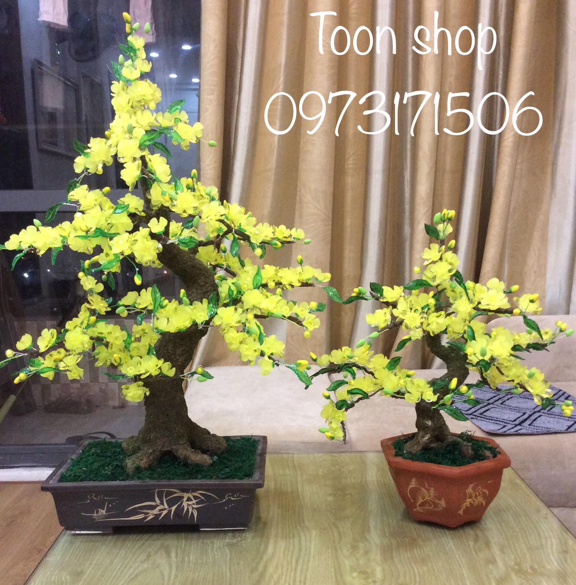 Set mai pha lê ĐẦY ĐỦ không gồm chậu 20cm -65cm