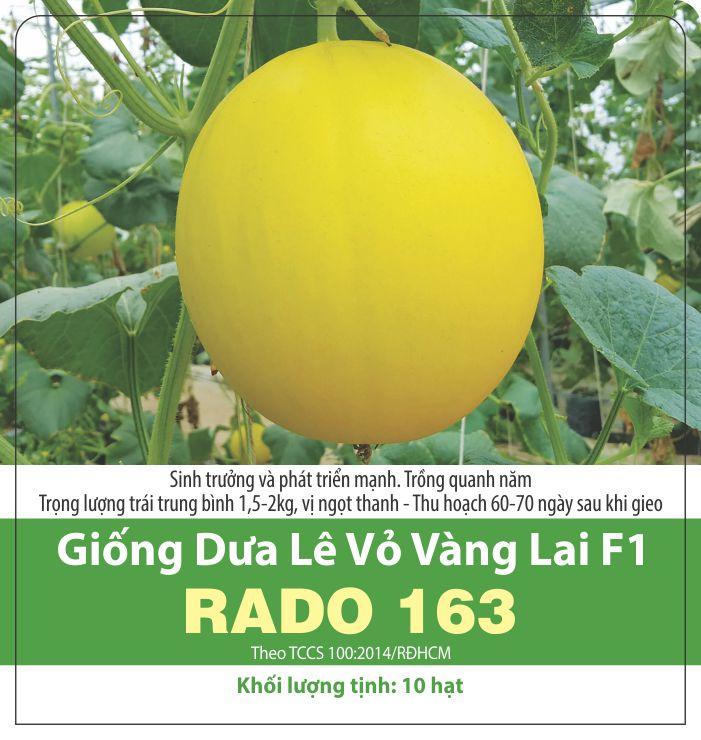 Hạt Giống Dưa Hoàng Kim (5 Hạt)