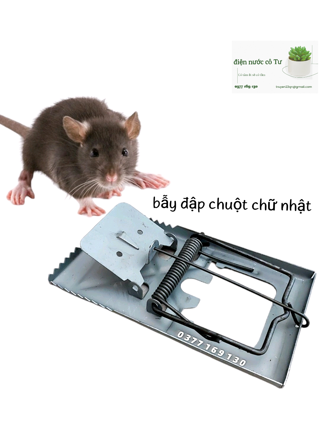 2 miếng keo dính chuột USA