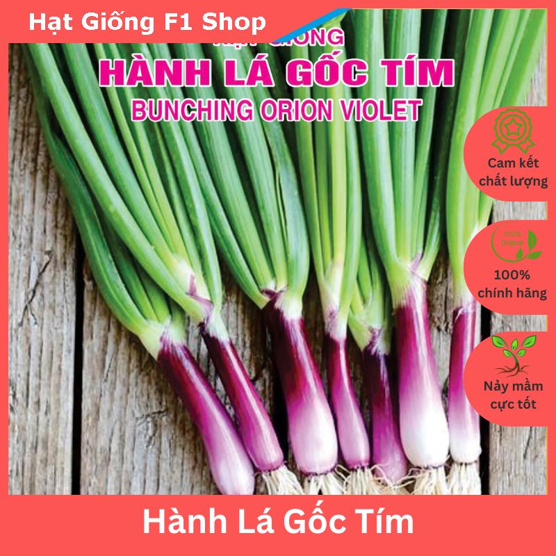 Hạt Giống Hành Lá Gốc Tím Dễ Trồng