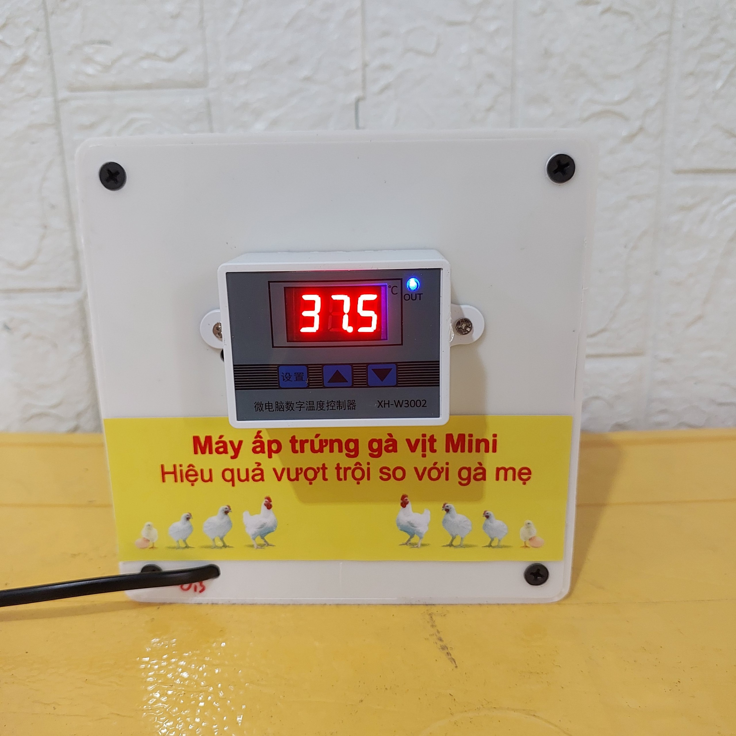 [Free Ship] Máy ấp trứng gà mini mới nhất 2023