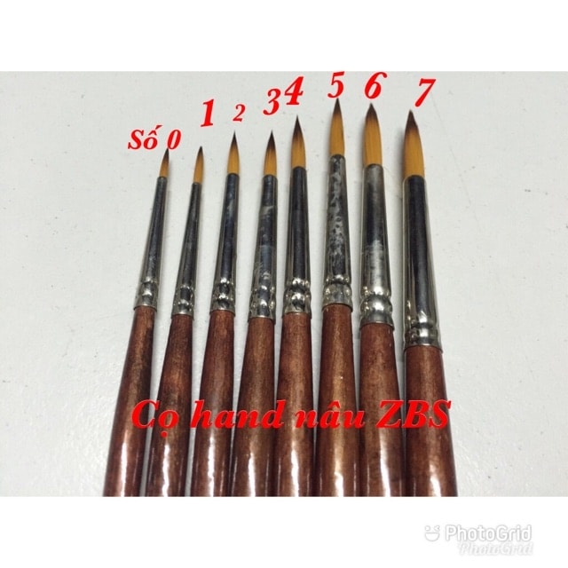 Cọ vẽ màu nước hand zbs