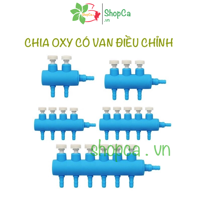 Chia oxy có van điều chỉnh
