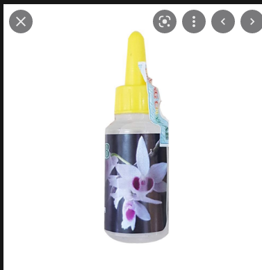 1 lọ Dưỡng Chất Ab 10ml