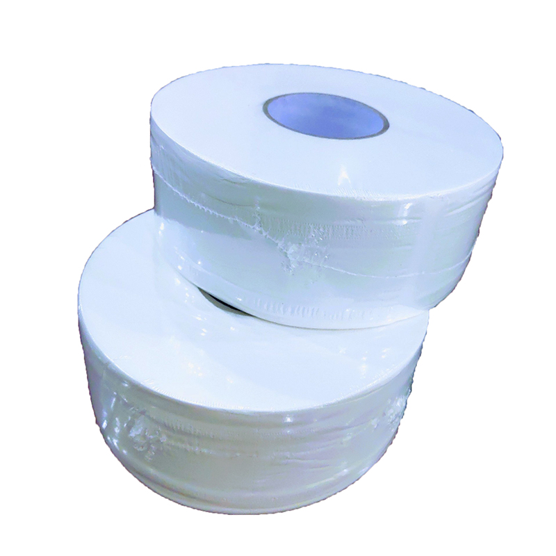 Combo 2 cuộn Giấy vệ sinh cuộn lớn - 500 g