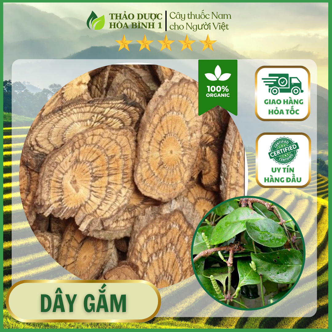 1kg cây dây gắm khô khắc tinh của gout đau nhức xương khớp.
