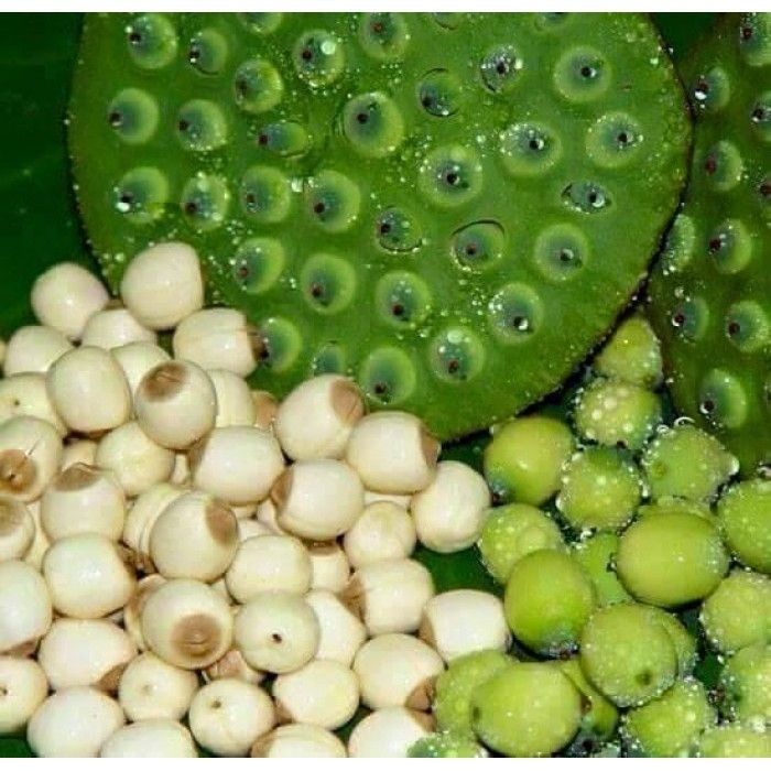 200G HẠT SEN KHÔ