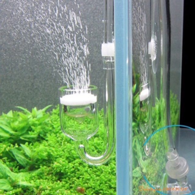 Bộ Cốc Sủi CO2 Thuỷ Tinh Full Option