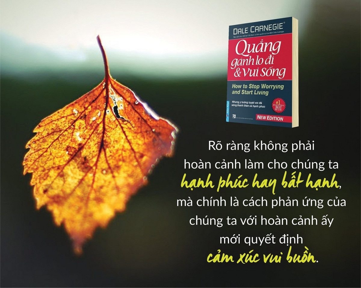 Quẳng Gánh Lo Đi Và Vui Sống (Tái Bản 2021)