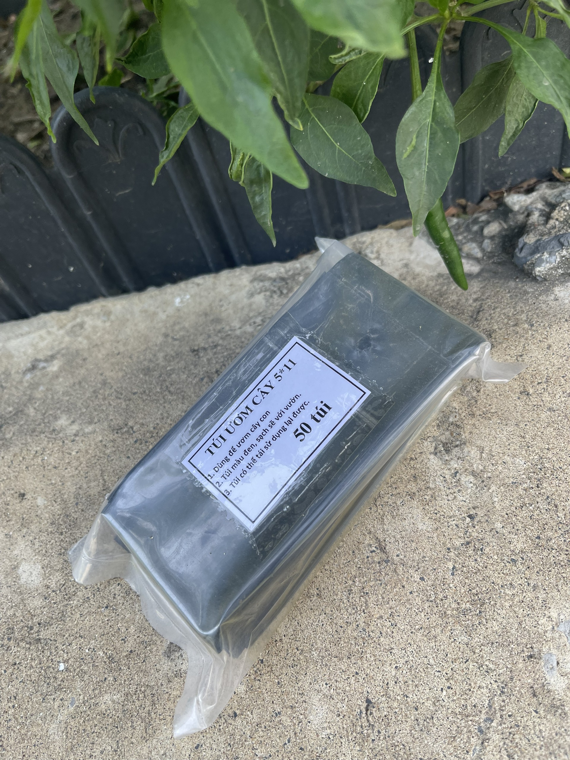 Túi ươm cây màu đen chuyên dùng ươm cây giống