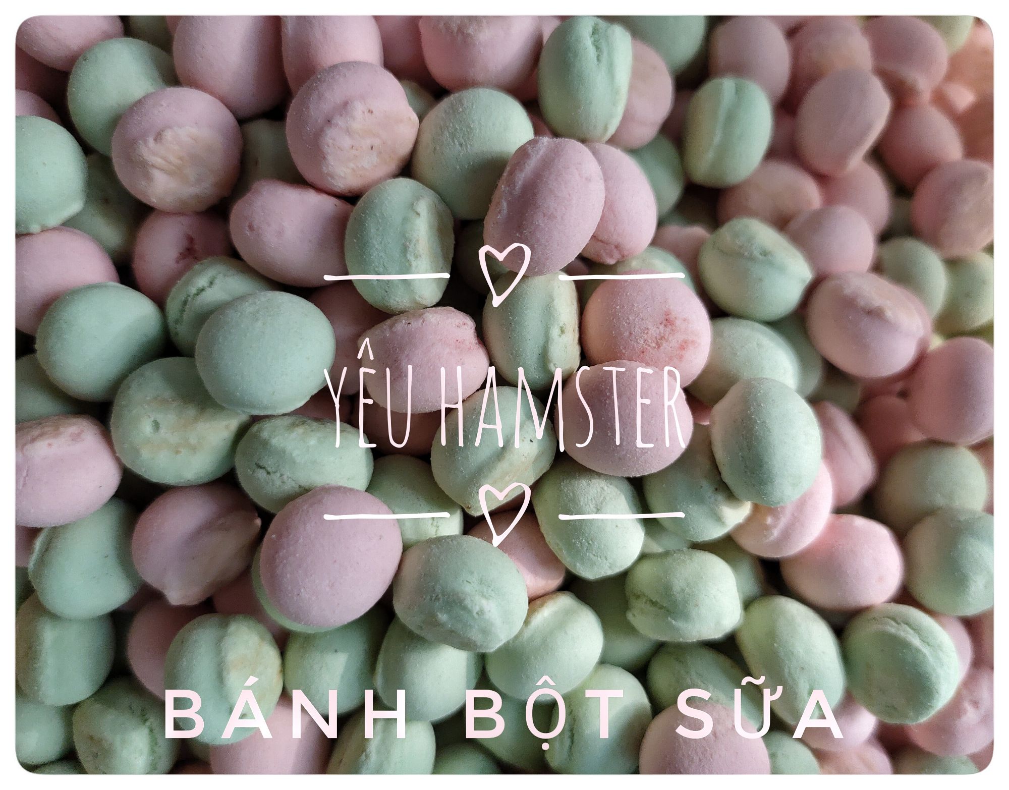 Bánh bột sữa- Thức ăn cho hamster, ăn dặm hamster, thú cưng