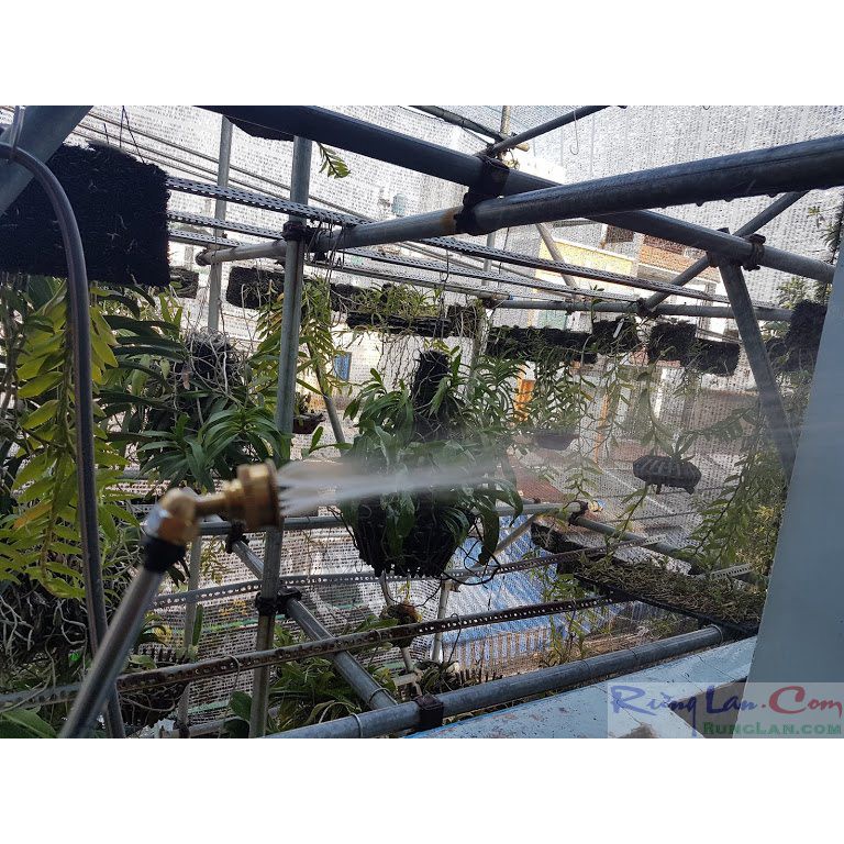Béc phun 5 lổ kiểu cong/ kiểu thẳng 8mm/ 13mm/ 21mm