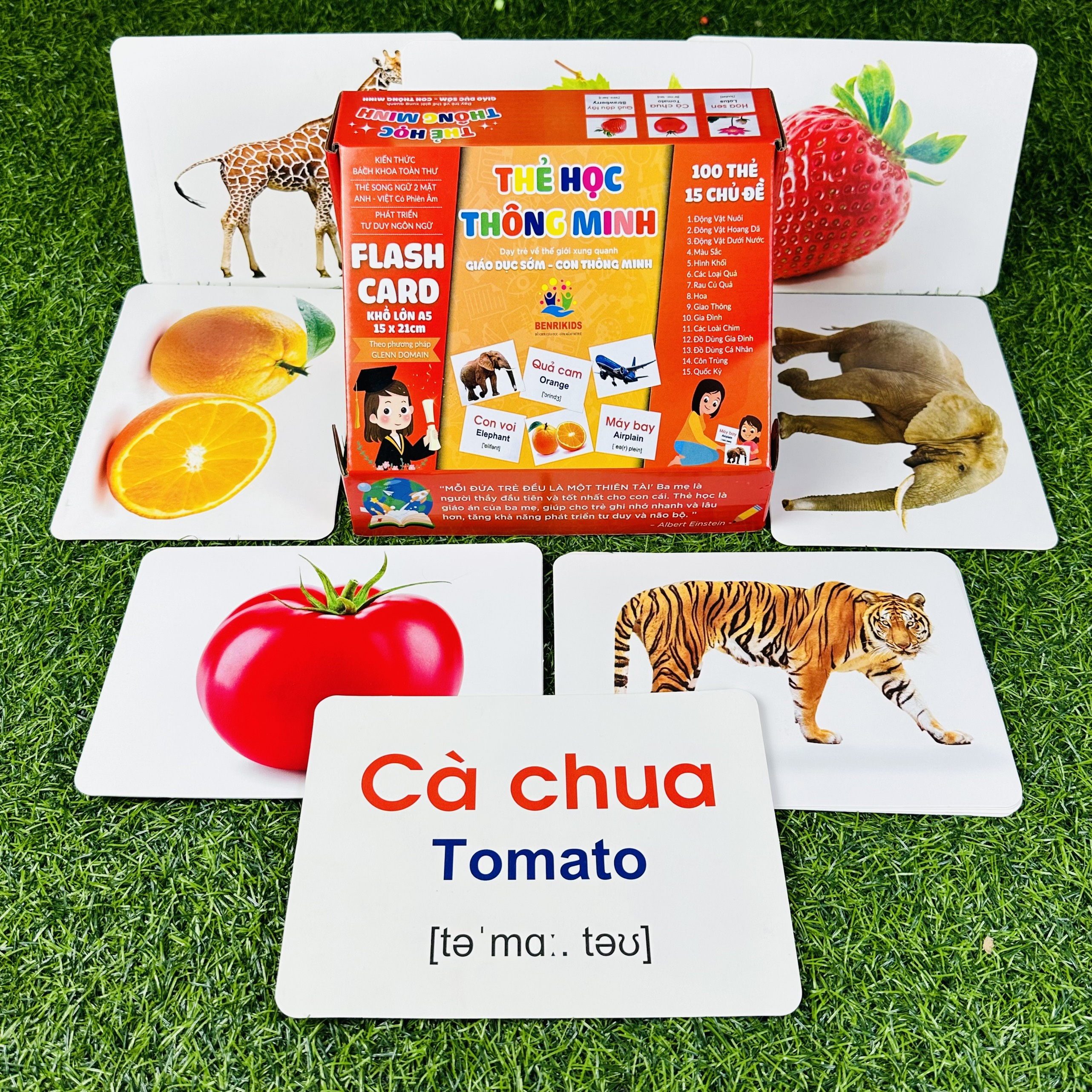 Đồ toys wooden intelligence, AIDS Montessori board spliced letters and numbers counting included calculation wooden toy for baby