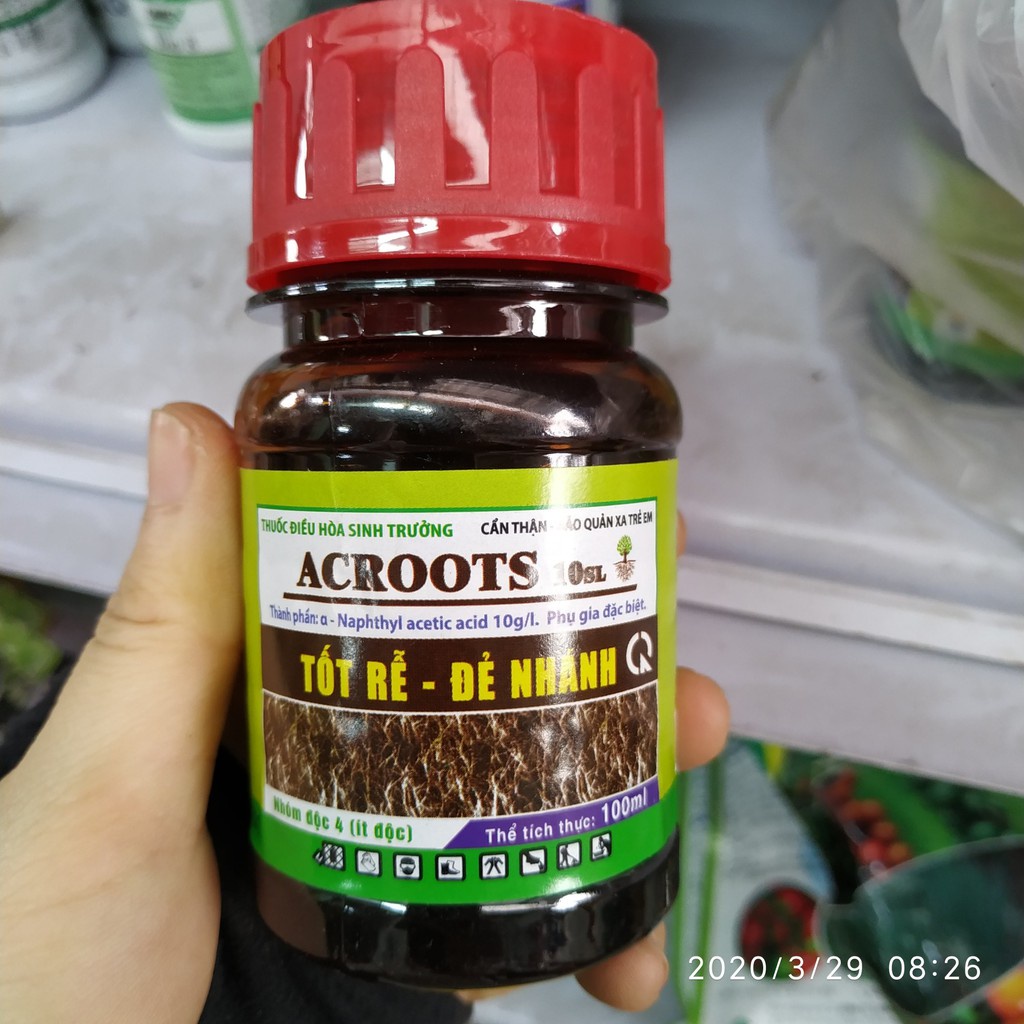 Naa siêu kích rễ - acroots 10sl phân bón kích thích ra rễ cây hoa lan