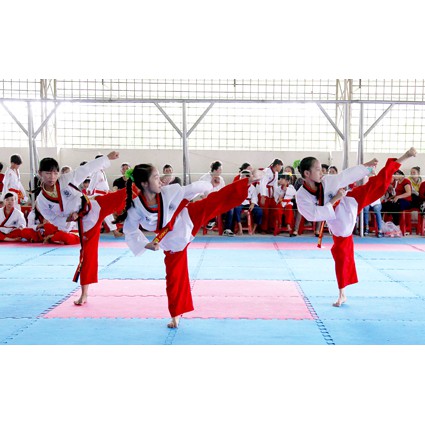VÕ PHỤC TAEKOWONDO QUYỀN | Đồ quyền Taekwondo Kwon Vải Sọc ailaikit, Võ phục taekwondo cao cấp chuyên dùng cho thi đấu