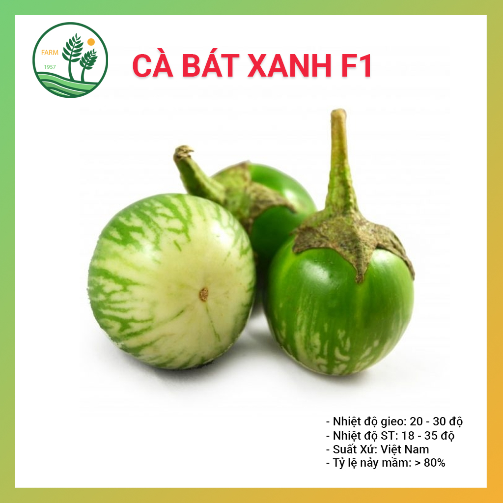 Hạt Giống Cà Bát Xanh F1 - 5Gr