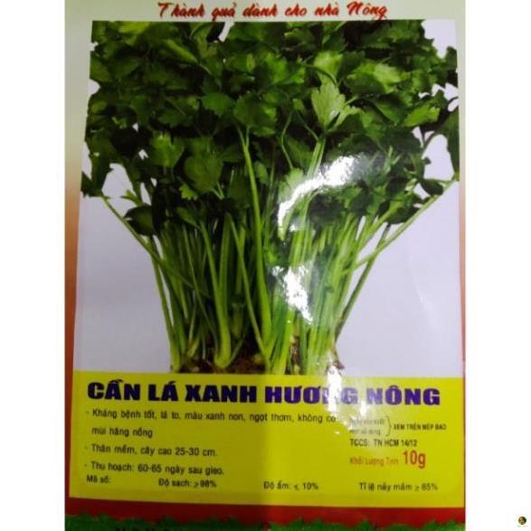 Hạt Giống Rau Cần Lá Xanh (Cần cọng nhỏ, cần ta) - Gói 10 Gram