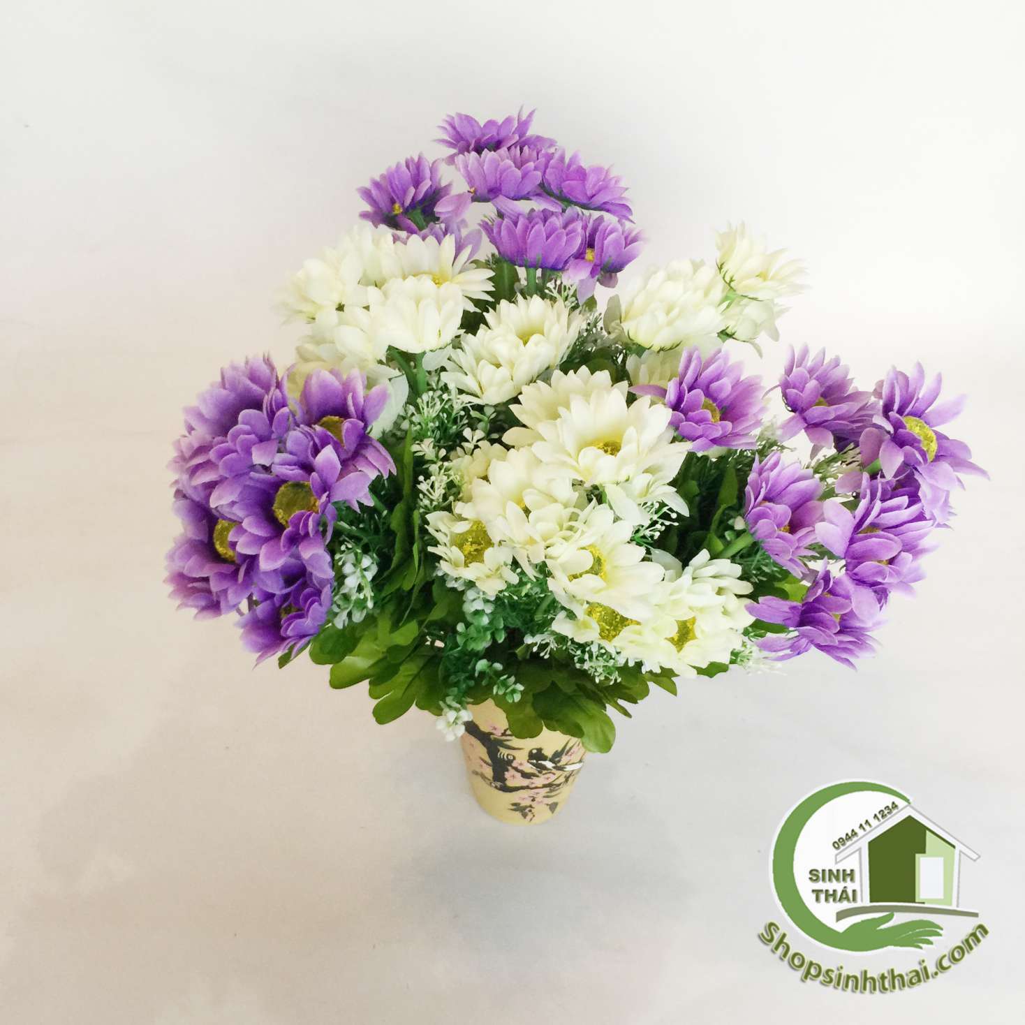 [HCM]Bụi hoa cúc thạch thảo - bụi cao 38cm - chọn màu
