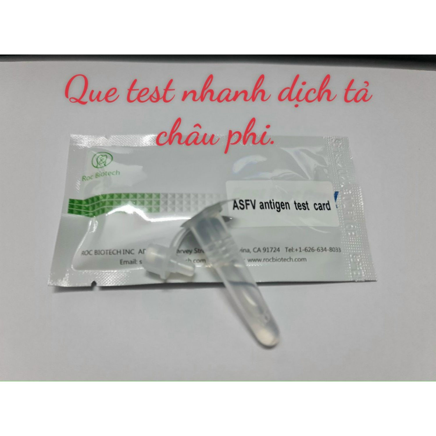 Que Test Nhanh Dịch Tả Heo Châu Phi (ASFV Ag Rapid Test Card)