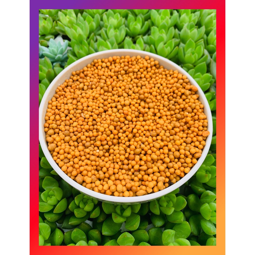 Phân tan chậm SONDA GARDEN (100g) bổ dưỡng dành cho sen đá