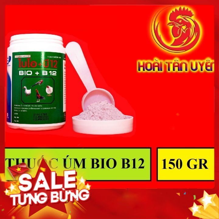 BIO-B12  ÚM GÀ CON GÀ ĐÁ 1 HỦ