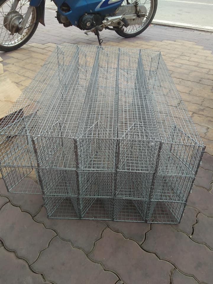 Lồng bẩy rắn 2 cửa vào 80 cm