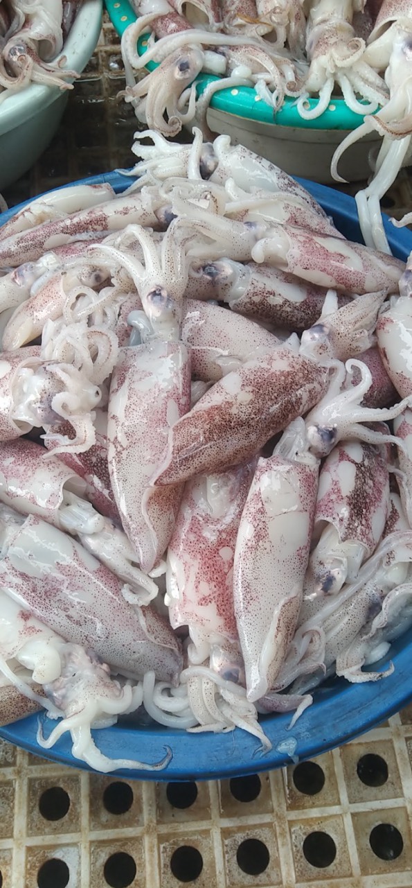 Mực ống tươi làm sạch 450g