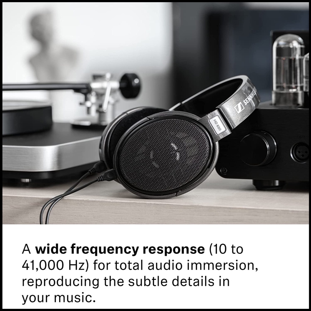 SENNHEISER HD 650 Audiophile Headphones