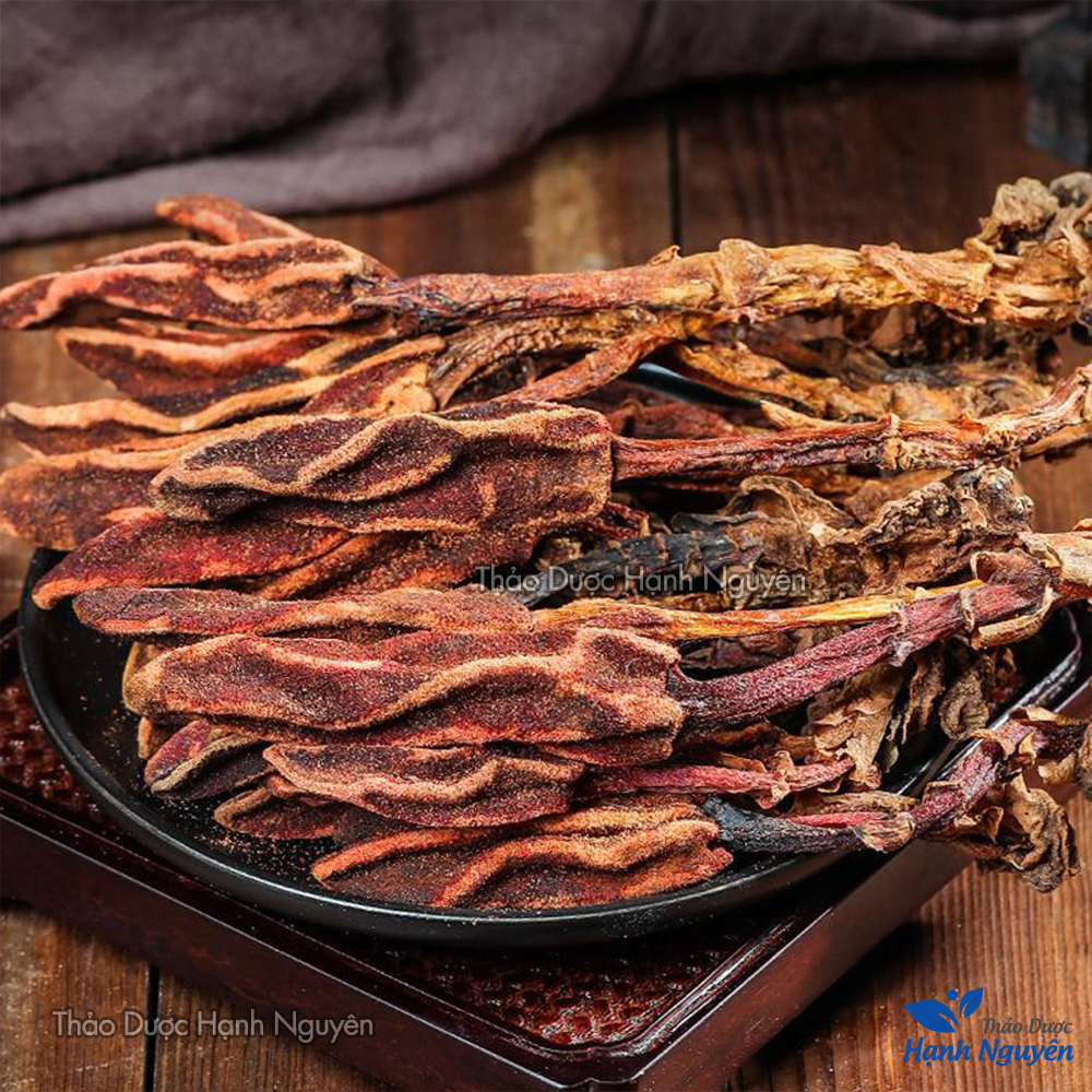 Nấm ngọc cẩu 500g, khô, nguyên búp, hỗ trợ bổ thận tráng dương, tăng cường sinh lý nam, mạnh gân cốt