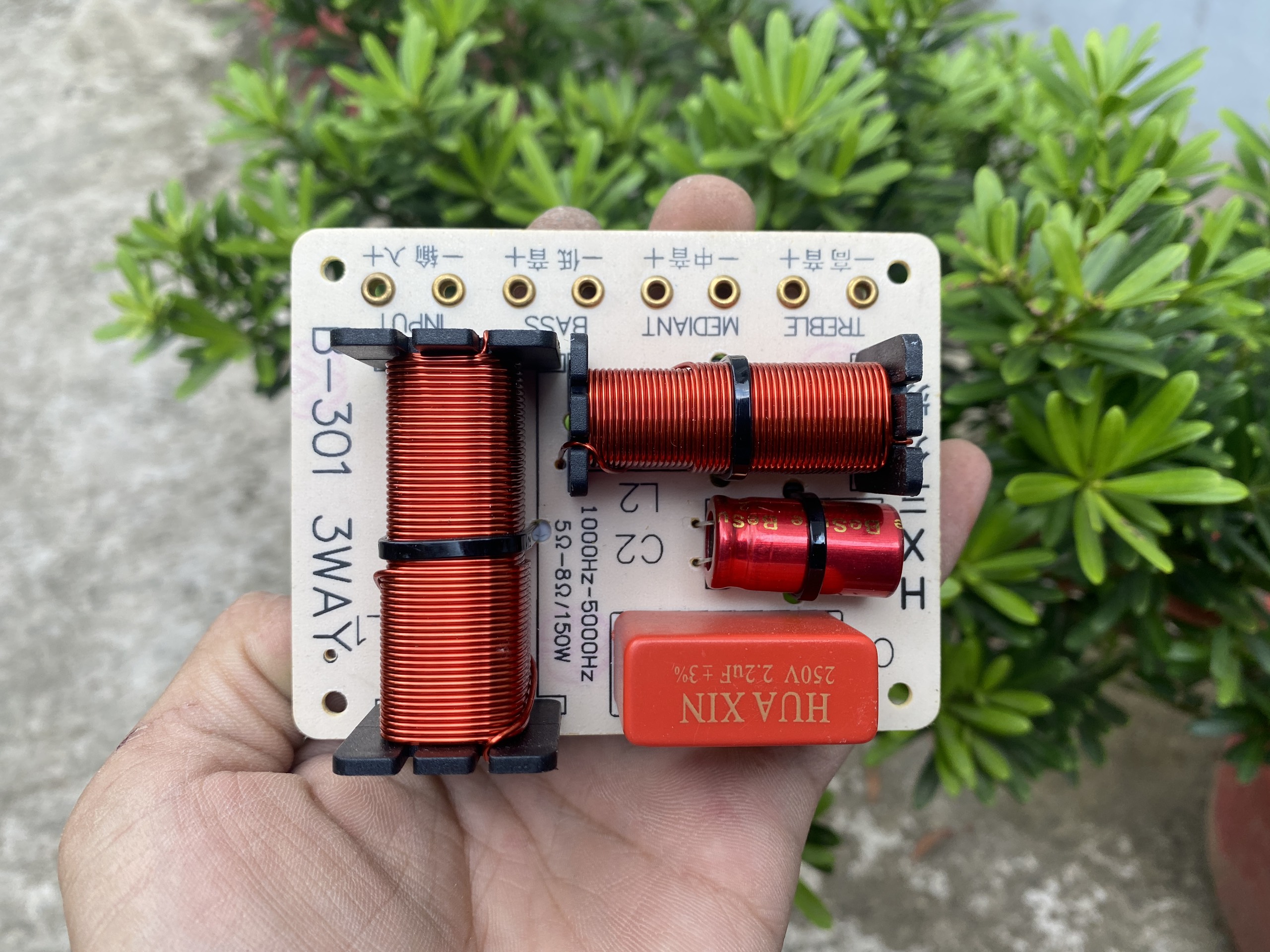 Phần Tần 3 way B301