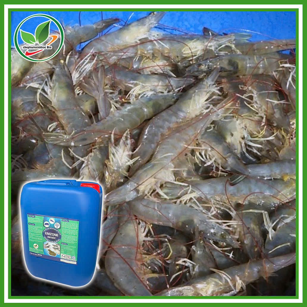 Chế phẩm sinh học EM gốc - Emzone. Can 5l