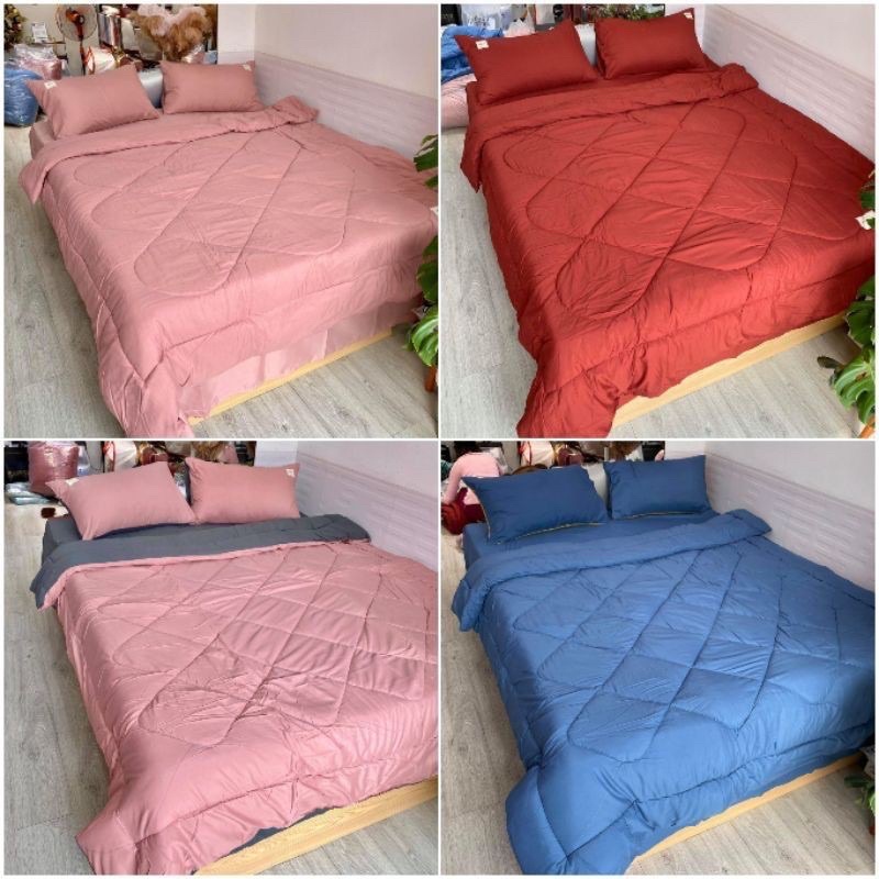 Bộ chăn phao trần bông dày êm và ga gối cotton tici phối màu trơn cao cấp