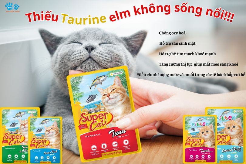 pate supercat nhiều Taurine 85gr dành cho mèo - T3 PETS SHOP