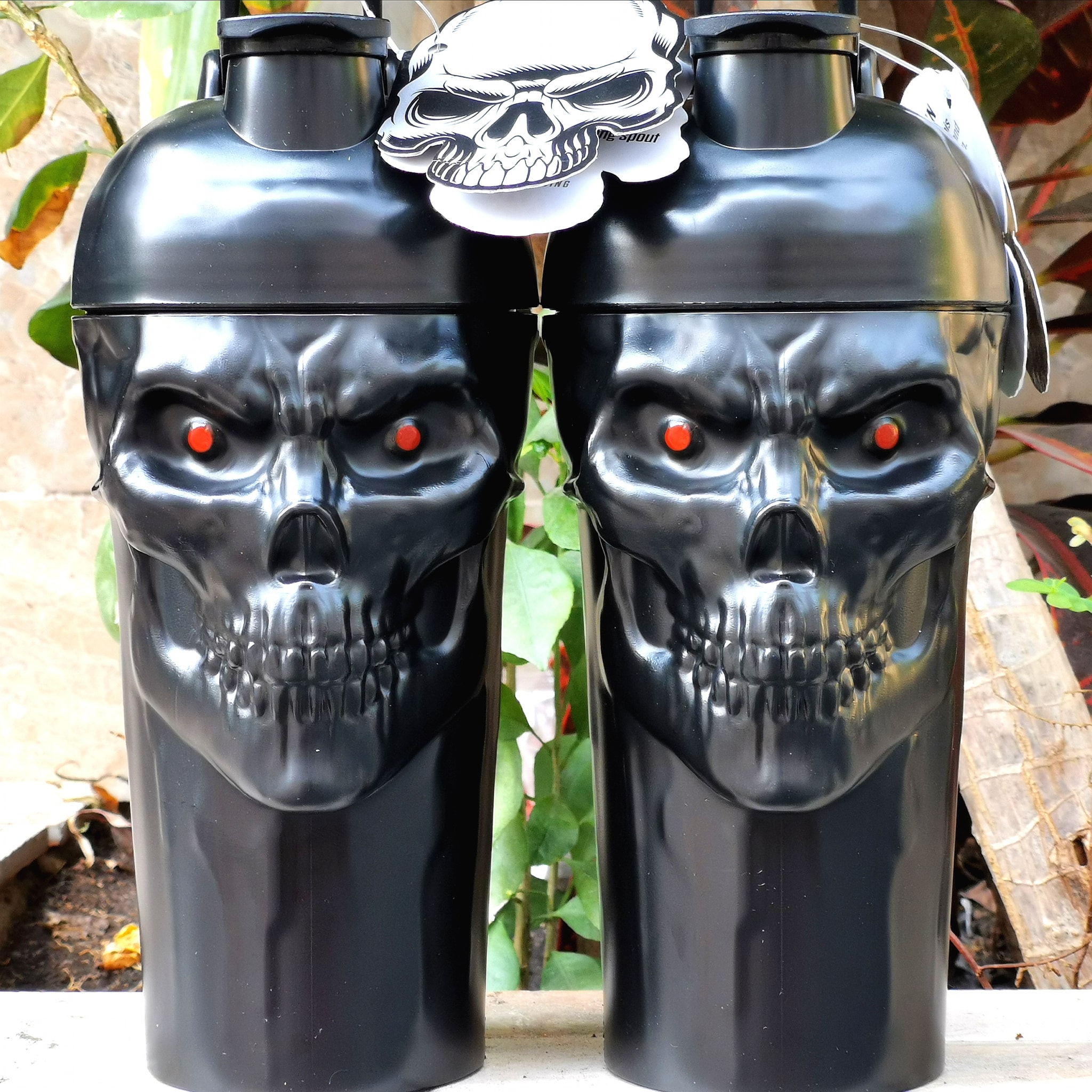 [LIMITED] Shaker The Curse! Skull 700ml Limited Edition