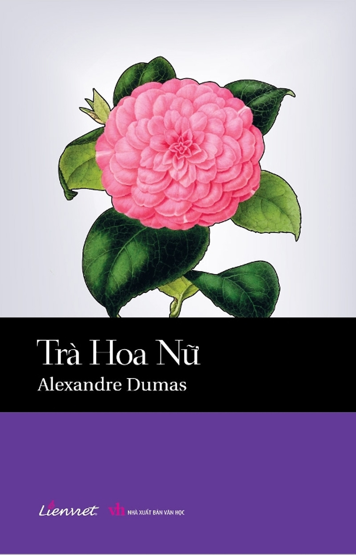 Trà hoa nữ