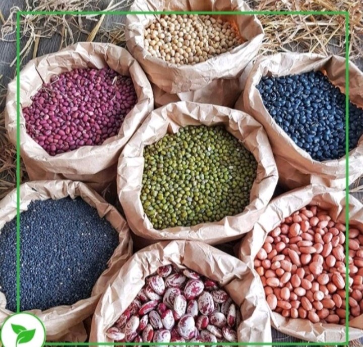 Đậu ngự 500gr
