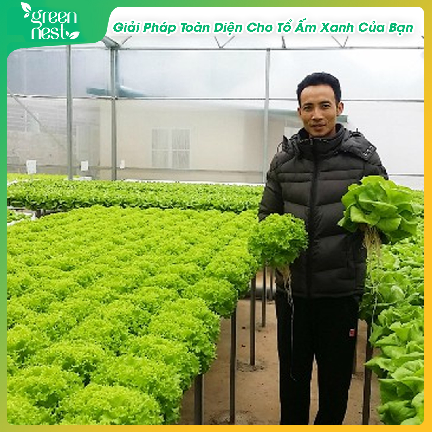 Dung Dịch Phân Bón Thủy Canh Hydroponic 100ml