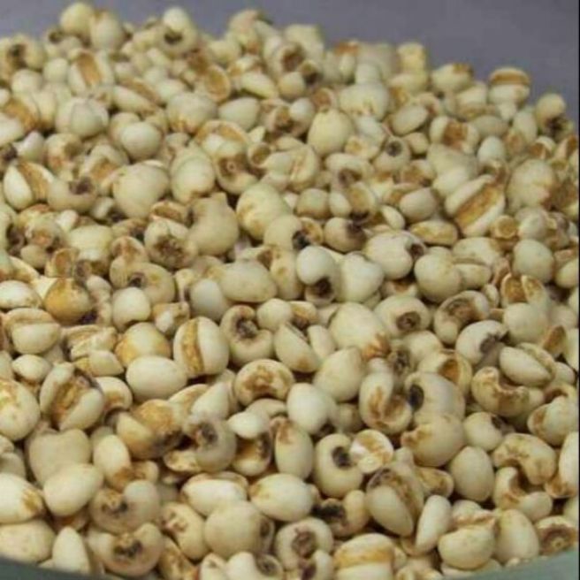 Sỉ toàn quốc 2kg hạt ý dĩ bo bo