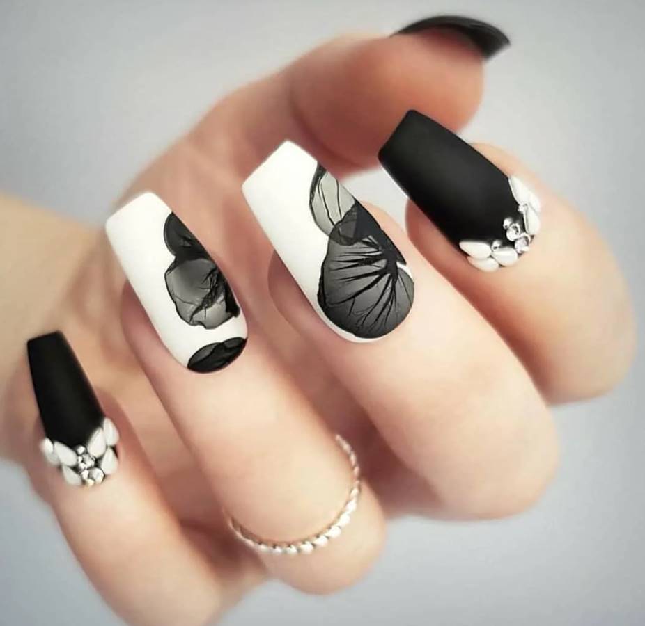 Sơn gel ANS cao cấp Japan