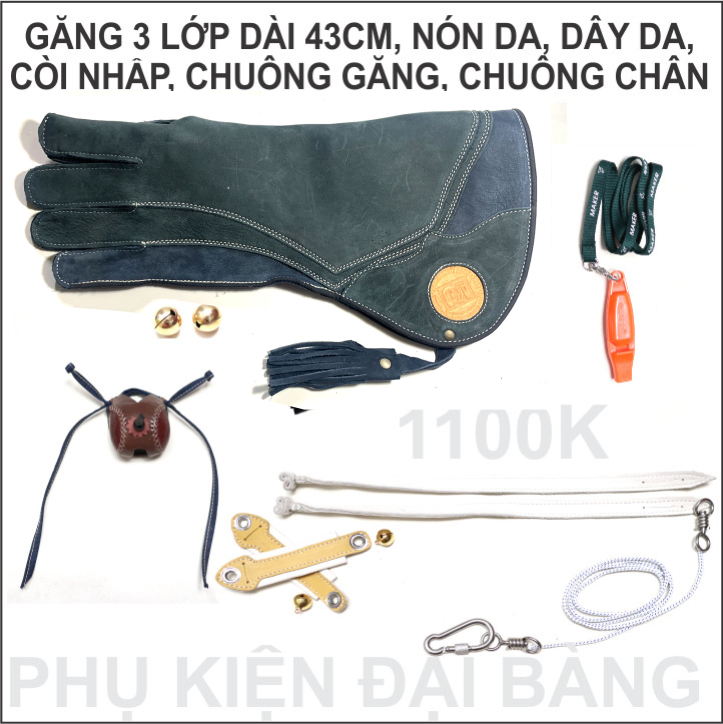 [HCM]Phụ kiện ĐẠI BÀNG Biển