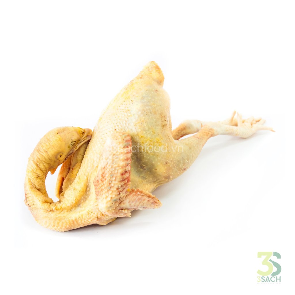 Gà ta Gò Công 1.1 - 1.3kg (con)