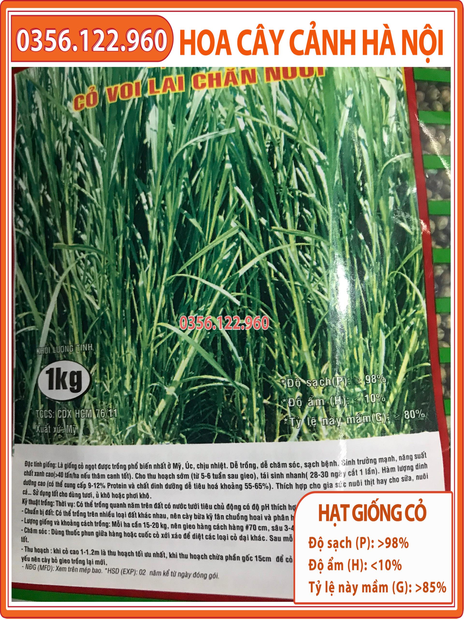 HẠT GIỐNG CỎ VOI LAI F1 - cỏ chăn nuôi gói 500g