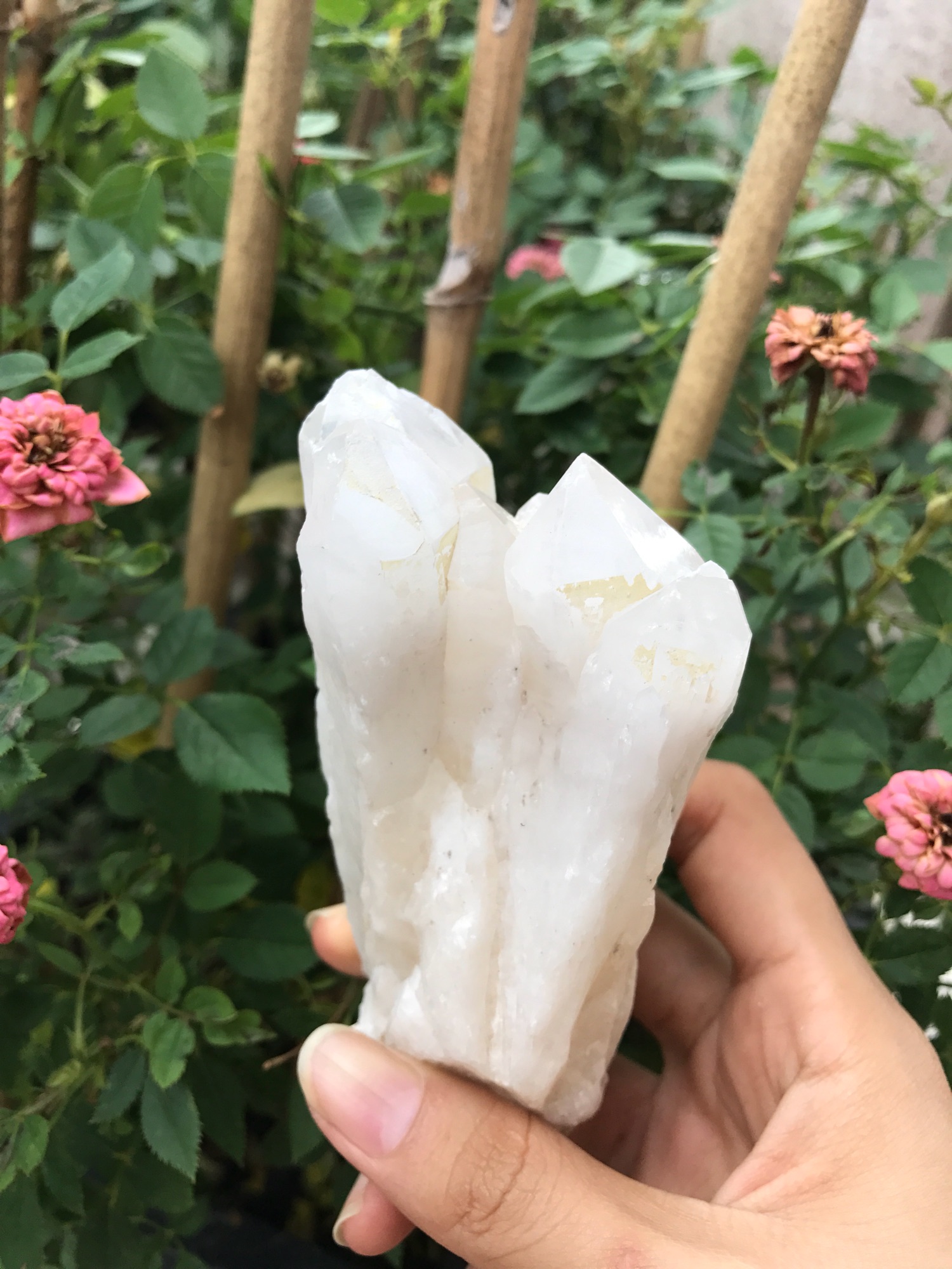 Đá thạch anh sưu tầm