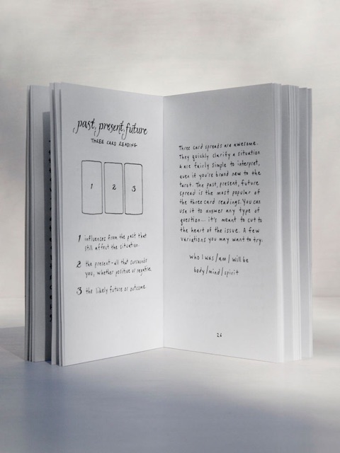 The Wild Unknown Tarot Guidebook