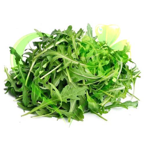 Hạt giống xà lách Rocket - gói 2 gram