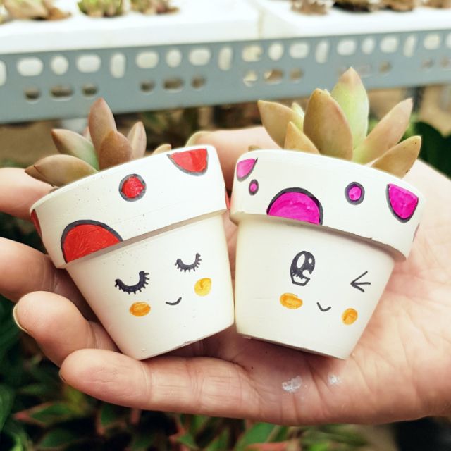 chậu trắng siêu nhỏ vẽ kèm cây sen đá vĩ