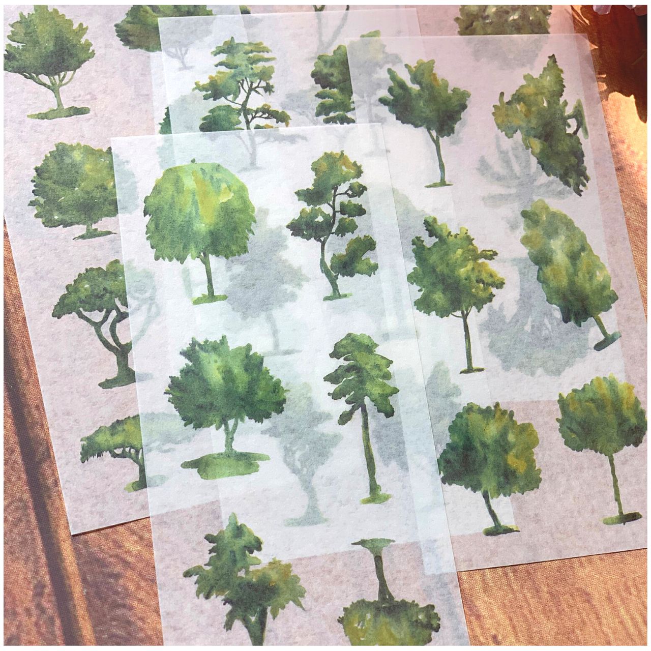 [HCM]Bộ 6 Tấm Sticker Cây Xanh