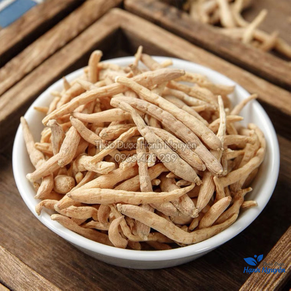 Sâm đất (Thái tử sâm) 100g - Thảo dược hạnh nguyên