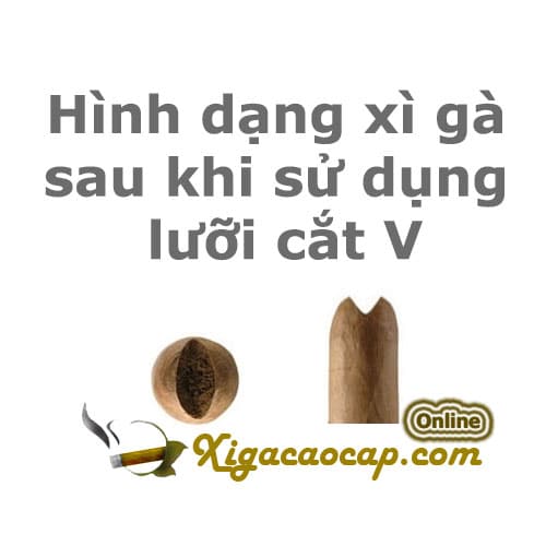 DAO CẮT XÌ GÀ LUBINSKI BV-CUT